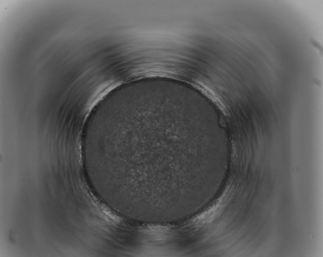 X0000096490782200801311617