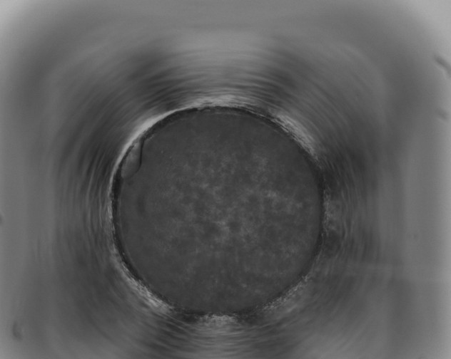 X0000096490784200801311617