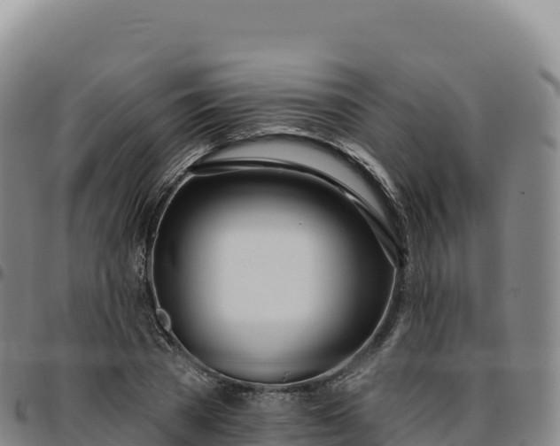 X0000096490785200801311617