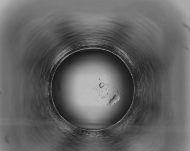 X0000096490786200801311617