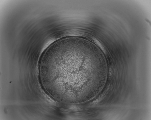 X0000096490787200801311617