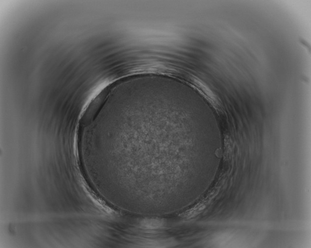 X0000096490788200801311617