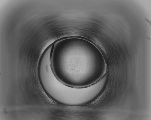 X0000096490789200801311617