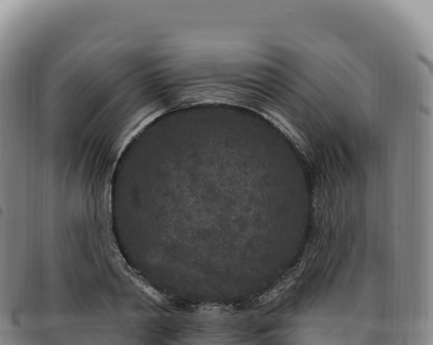 X0000096490790200801311617