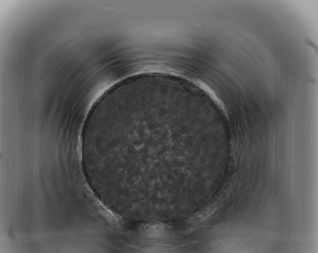 X0000096490791200801311617