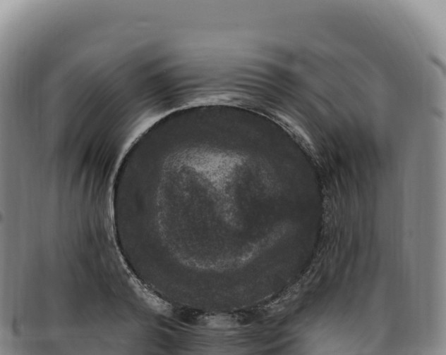 X0000096490792200801311617