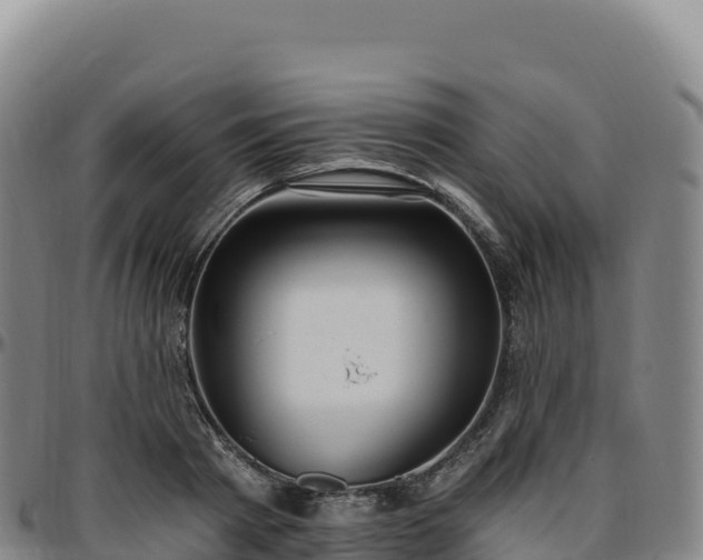 X0000096490793200801311617