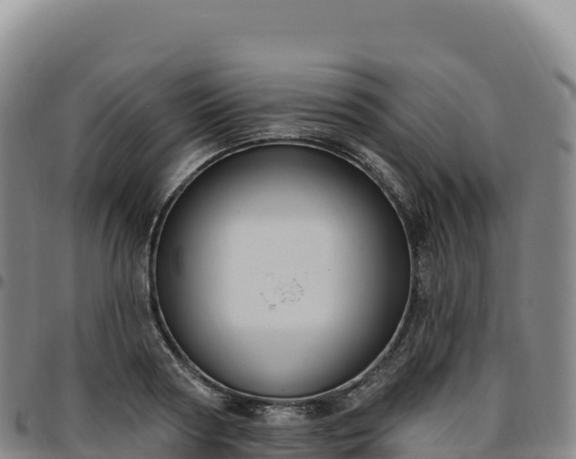 X0000096490794200801311617