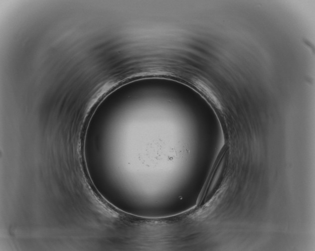 X0000096490797200801311617