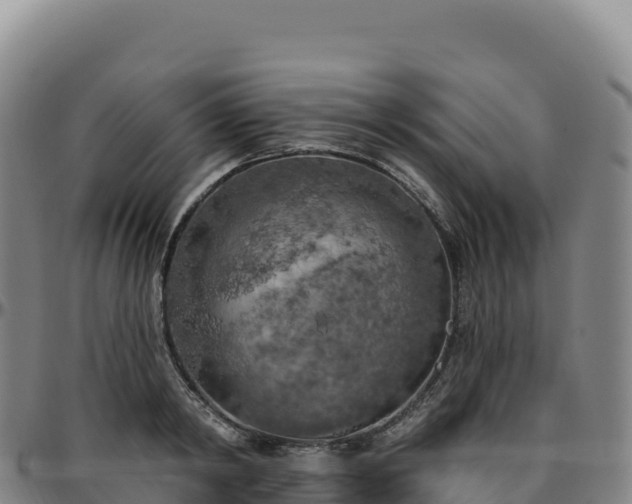 X0000096490798200801311617