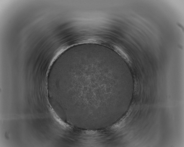 X0000096490800200801311617