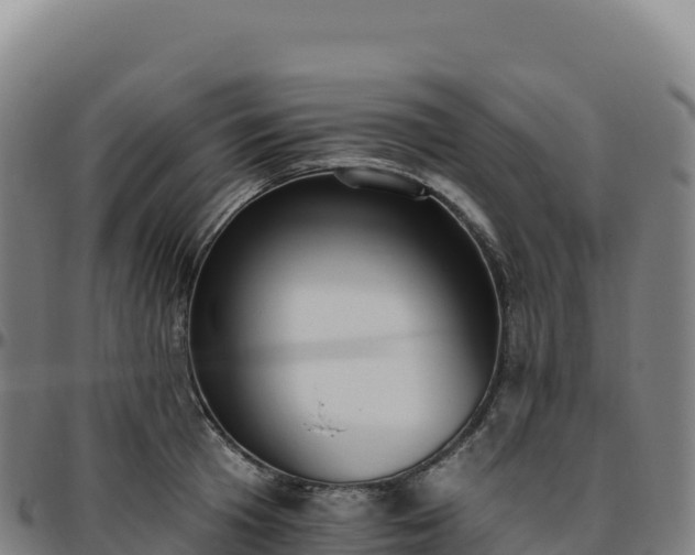 X0000096490801200801311617