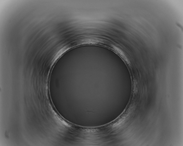 X0000096490802200801311617