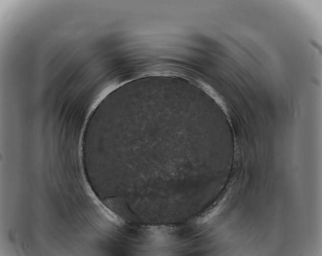 X0000096490803200801311617