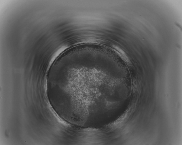 X0000096490804200801311617