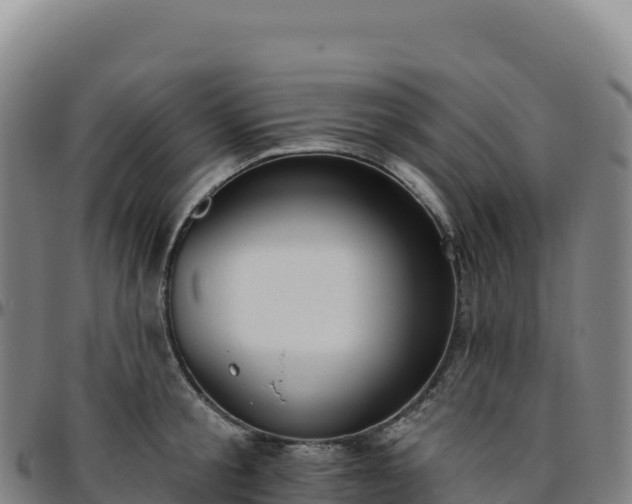 X0000096490805200801311617