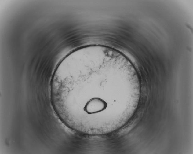 X0000096490807200801311617