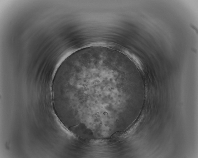 X0000096490808200801311617