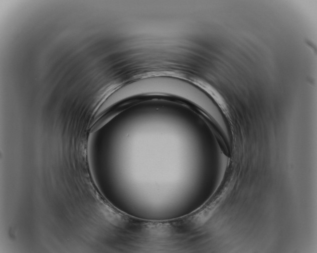 X0000096490809200801311617