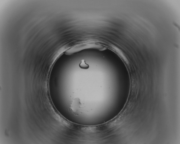 X0000096490810200801311617