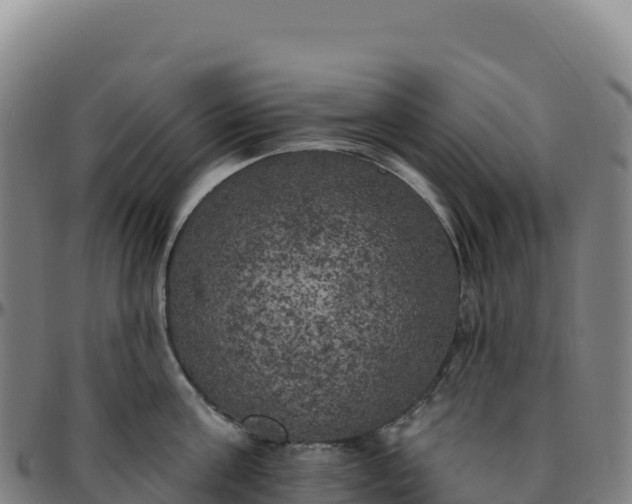 X0000096490811200801311617