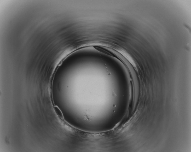 X0000096490813200801311617