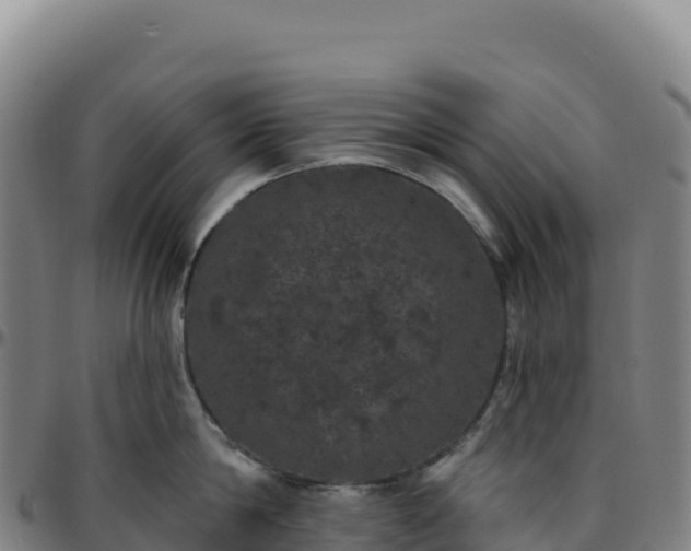 X0000096490814200801311617