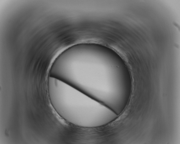 X0000096490816200801311617