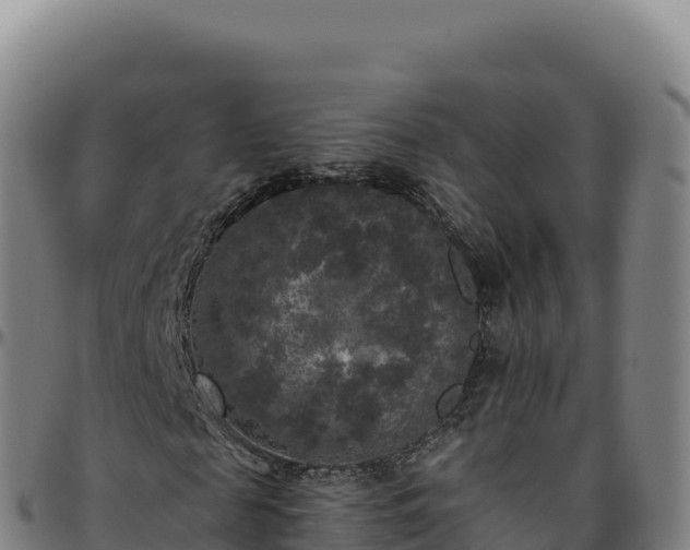 X0000096490817200801311616