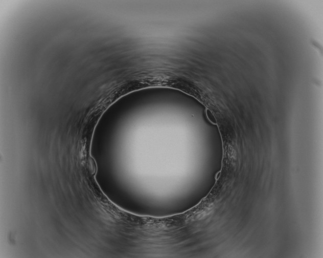 X0000096490818200801311616