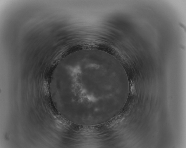 X0000096490819200801311616