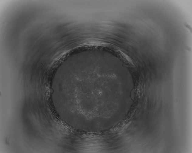 X0000096490821200801311616