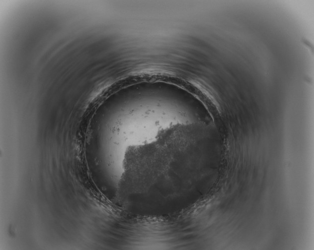 X0000096490823200801311616