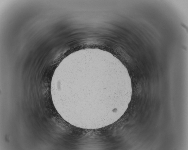 X0000096490824200801311616