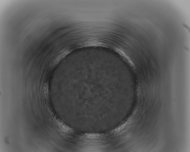 X0000096490825200801311616