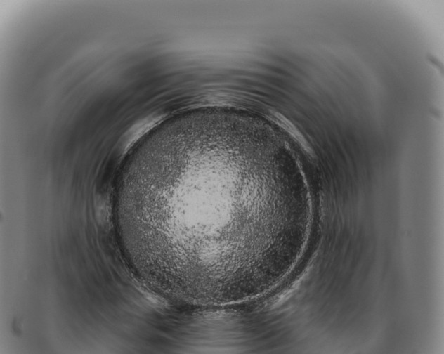 X0000096490826200801311616