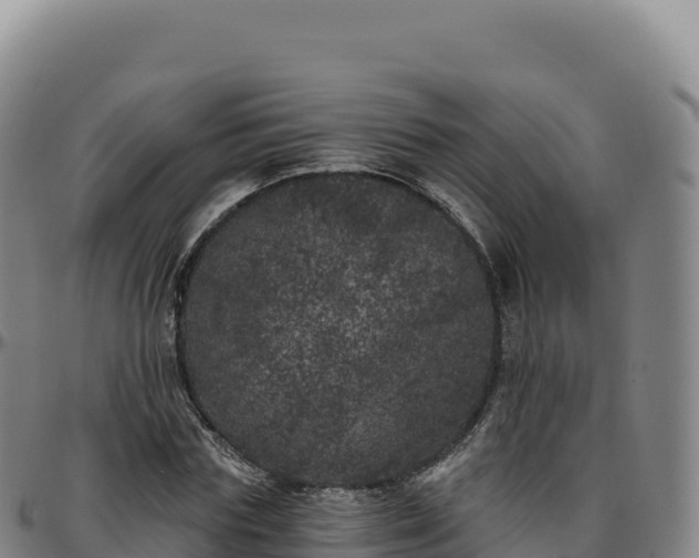 X0000096490827200801311616