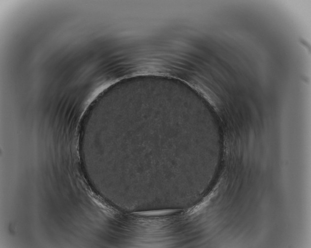 X0000096490830200801311616