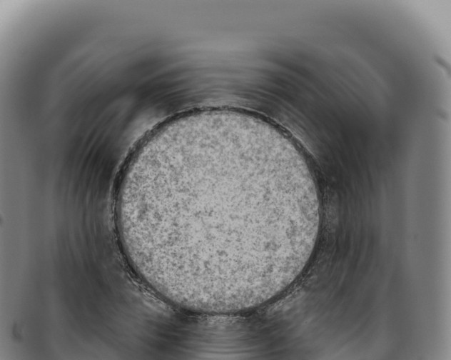 X0000096490832200801311617