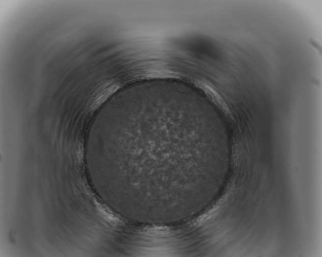 X0000096490833200801311617