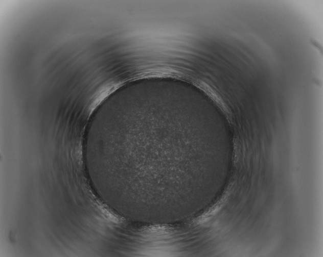 X0000096490834200801311617