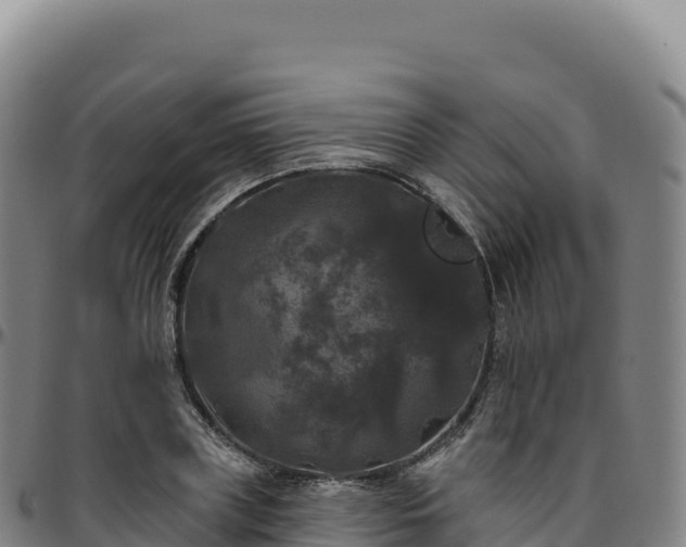 X0000096490835200801311617