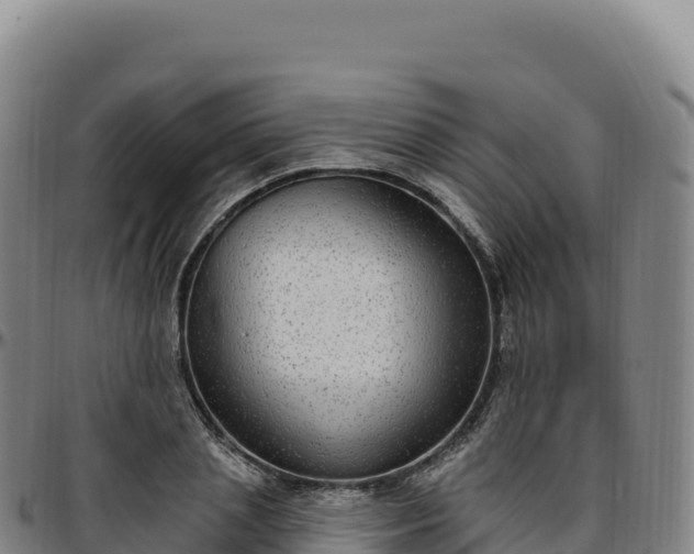 X0000096490837200801311617