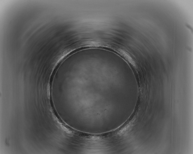 X0000096490839200801311617