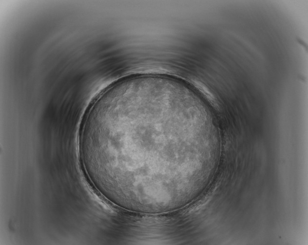 X0000096490840200801311617