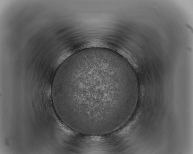 X0000096490841200801311617