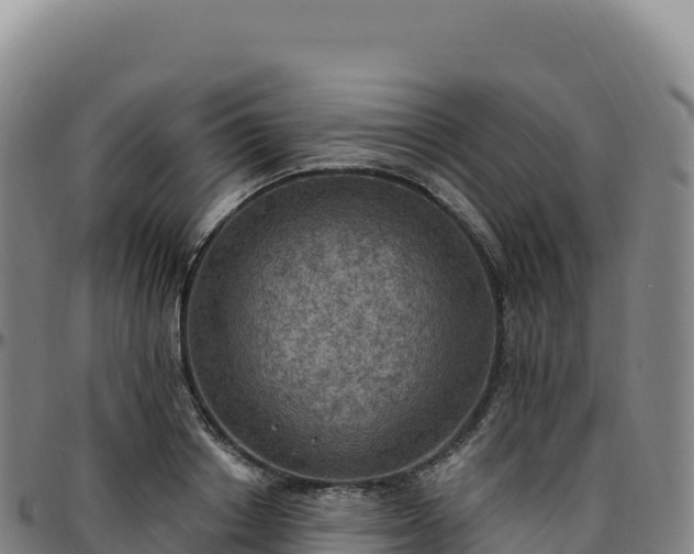 X0000096490842200801311617