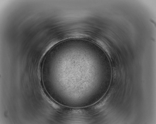 X0000096490843200801311617