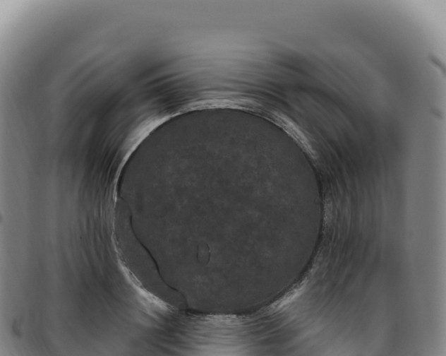 X0000096490844200801311617