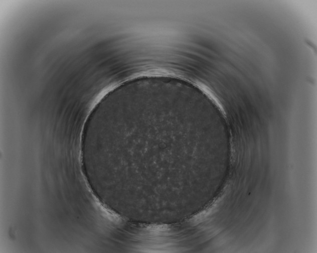 X0000096490845200801311617